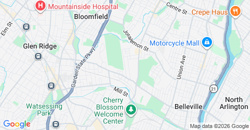 Google map